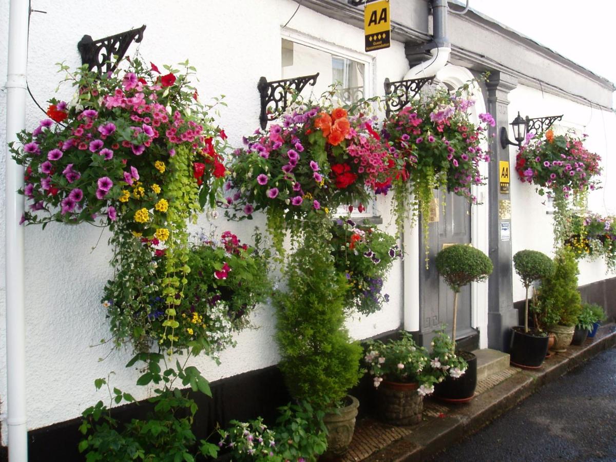 Cherubs Nest - B&B Dartmouth