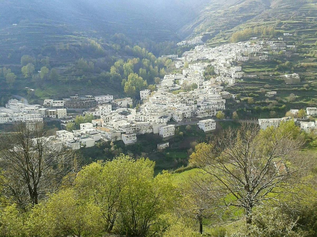 Apartamentos Casa FERMINA - A 2 horas de las pistas de esquí - B&B Trevélez