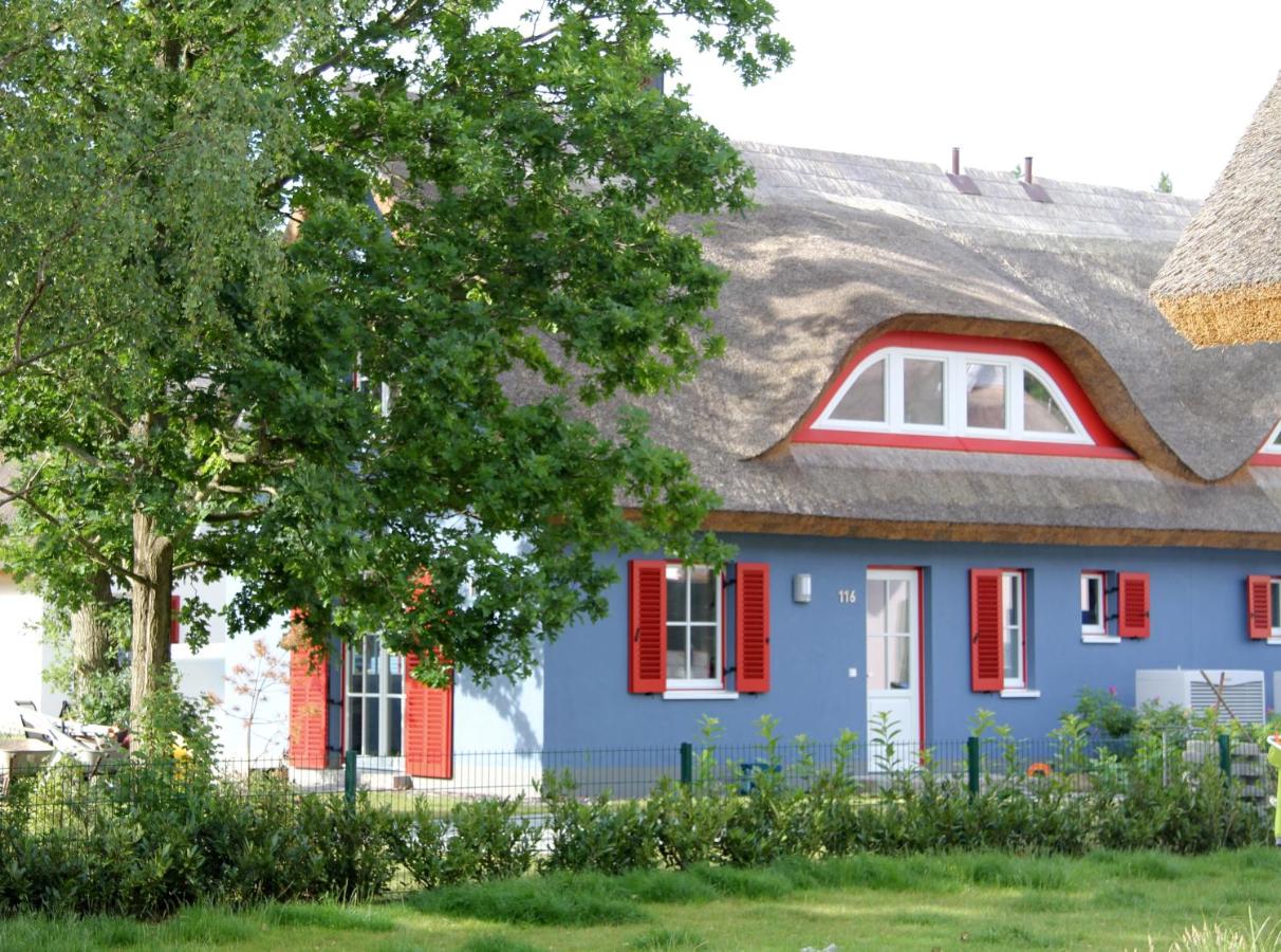 B&B Glowe - Strandhaus Lucky, Sauna, Garten, Kamin, strandnah - Bed and Breakfast Glowe