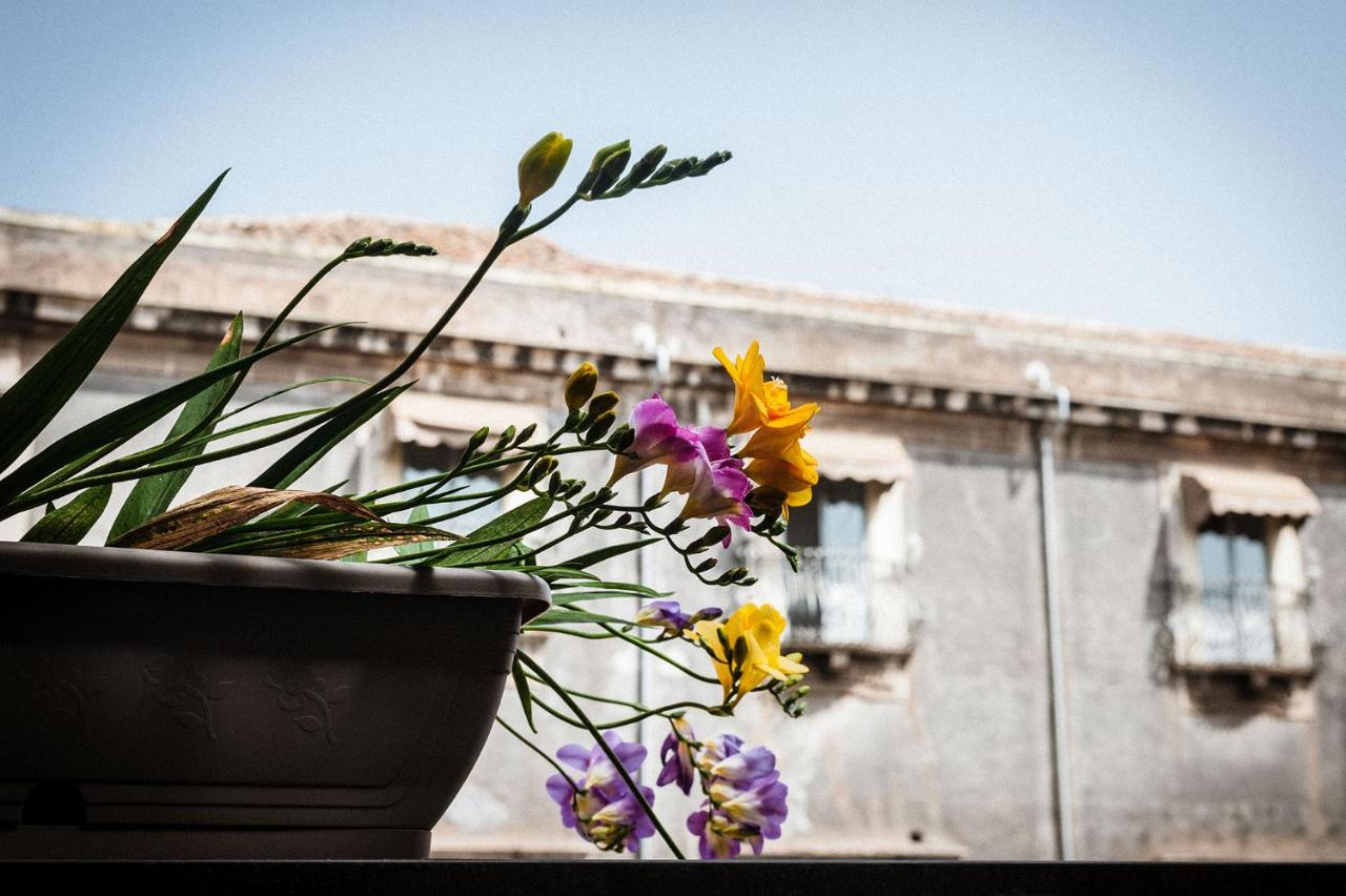 Don Assenzio Temporary Home - Chambres d’hôtes Catane