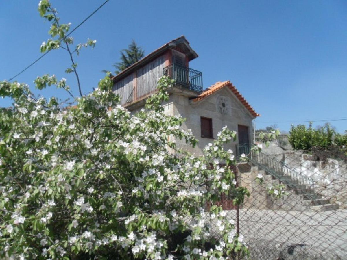 Quinta da Casa Grande Pinheiro - B&B