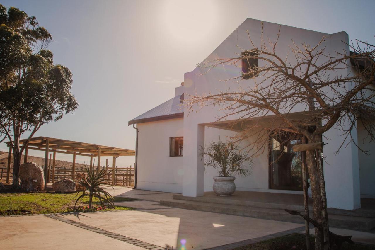 Melk Houte Bosch Guest Farm - B&B