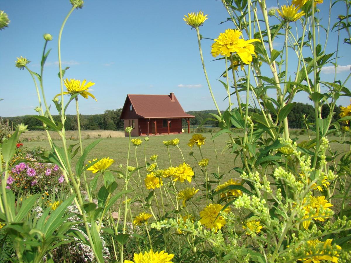 Zagroda Warmińska Pszczoła - B&B