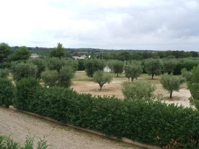 Locazione turistica Green Park - Chambres d’hôtes