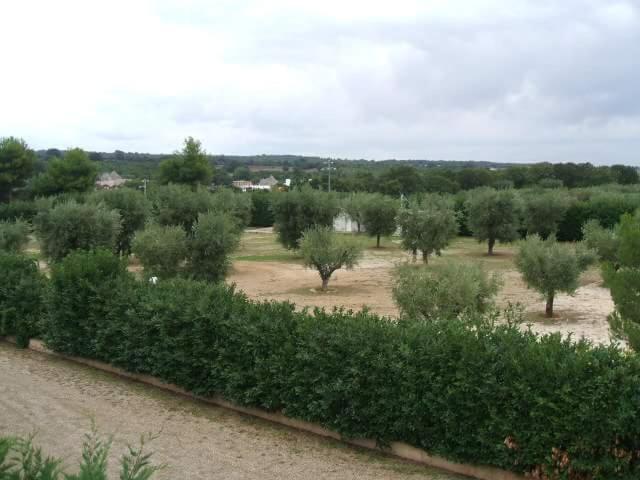 B&B Martina Franca - Locazione turistica Green Park - Bed and Breakfast Martina Franca