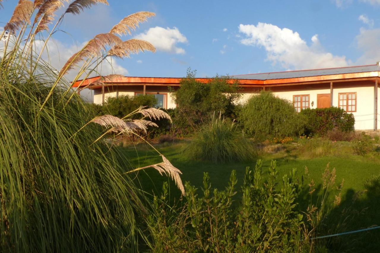Terrace Lodge - Bed and Breakfast