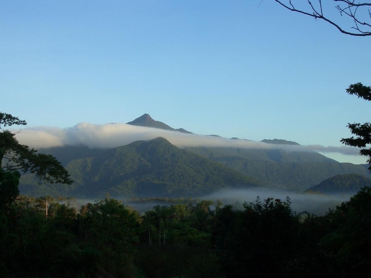 B&B Cape Tribulation - Epiphyte B & B - Bed and Breakfast Cape Tribulation