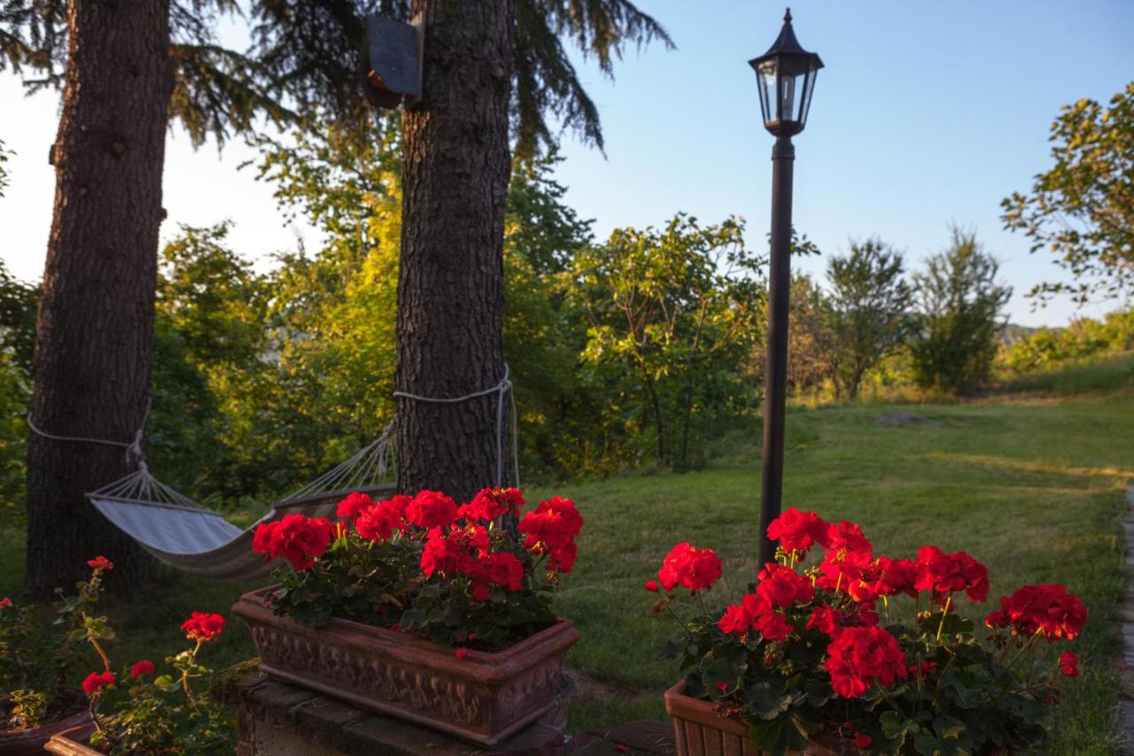 Bacialupo Foresteria - B&B