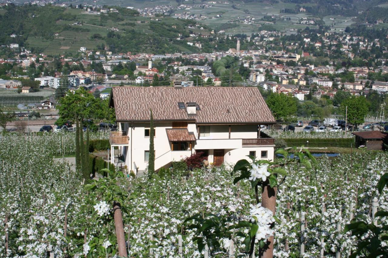 Premium Apartments Faselehof - B&B Marling