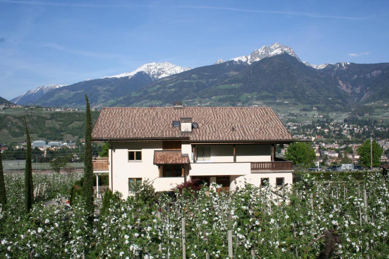 Studio with Terrace