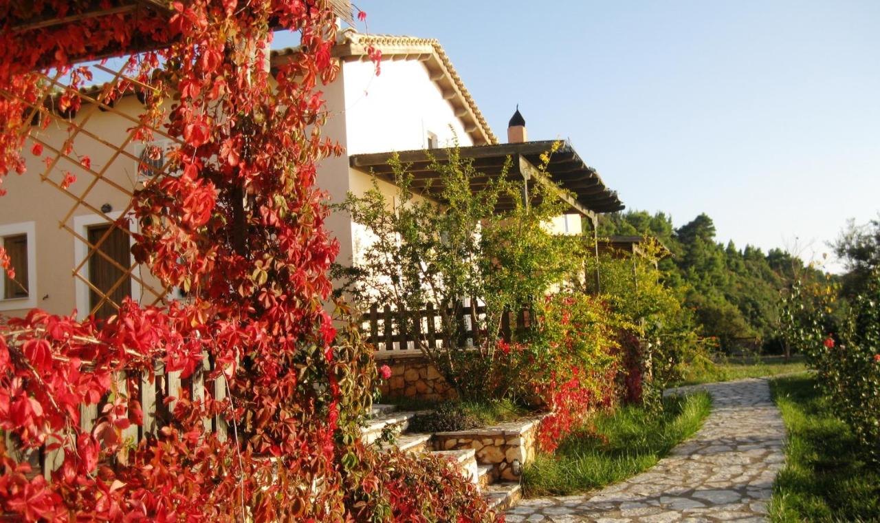 B&B Athánion - anerada / sun nature holidays - Bed and Breakfast Athánion