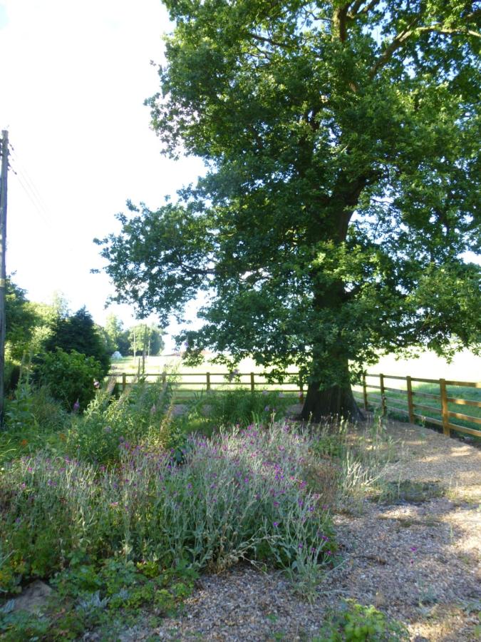Bragborough Hall Coach House - B&B