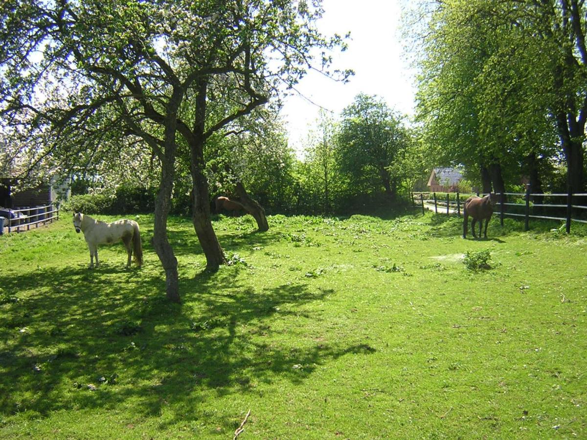 B&B Westerholz - Fördefarm-Natura - Bed and Breakfast Westerholz