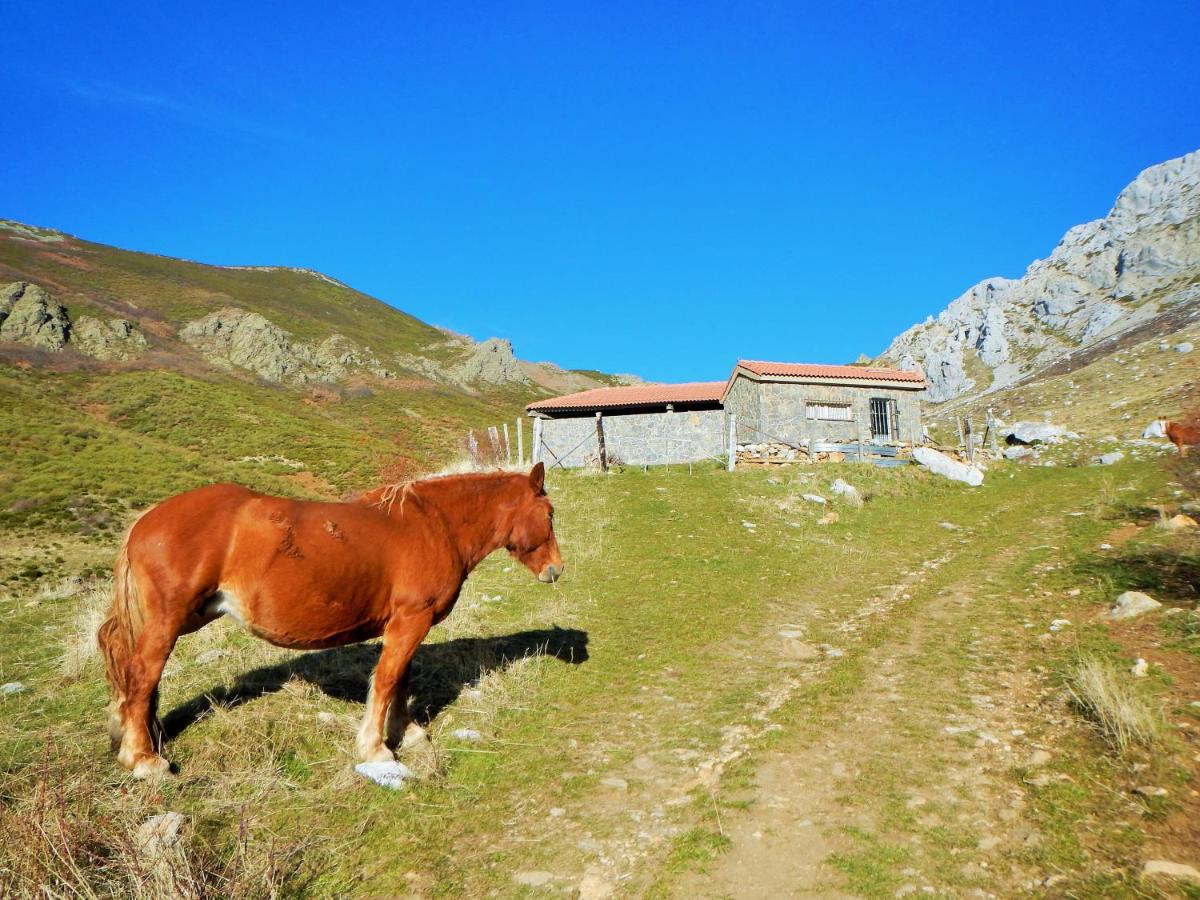 Casa Candana - B&B