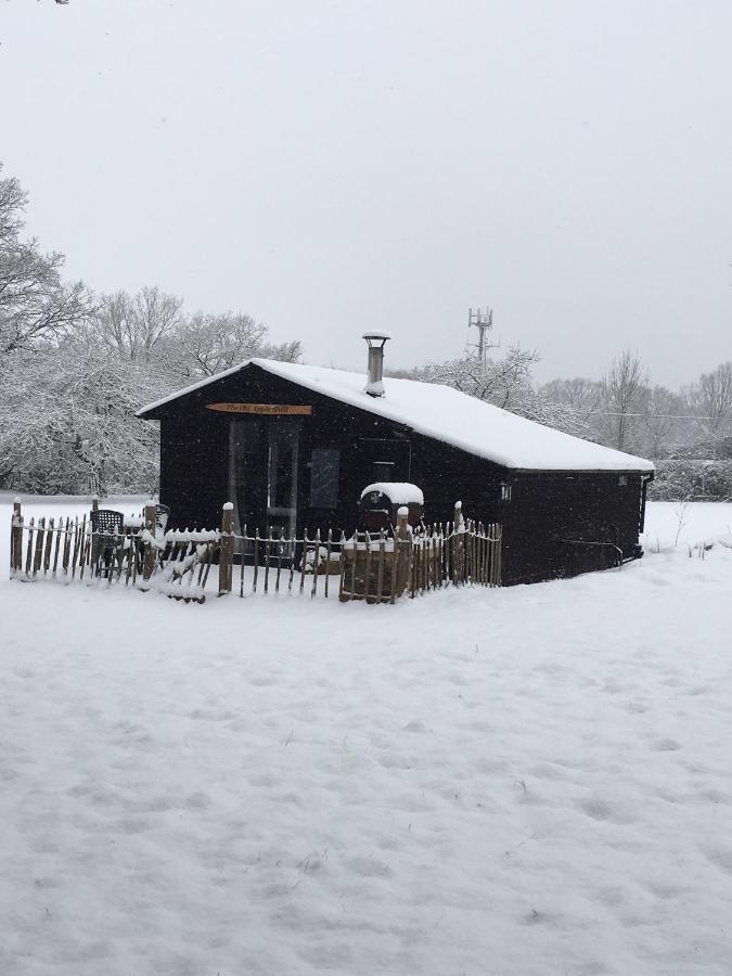 The Old Apple Shed cosy heated cottage in a meadow close to the charming village of Bethersden - B&B Ashford
