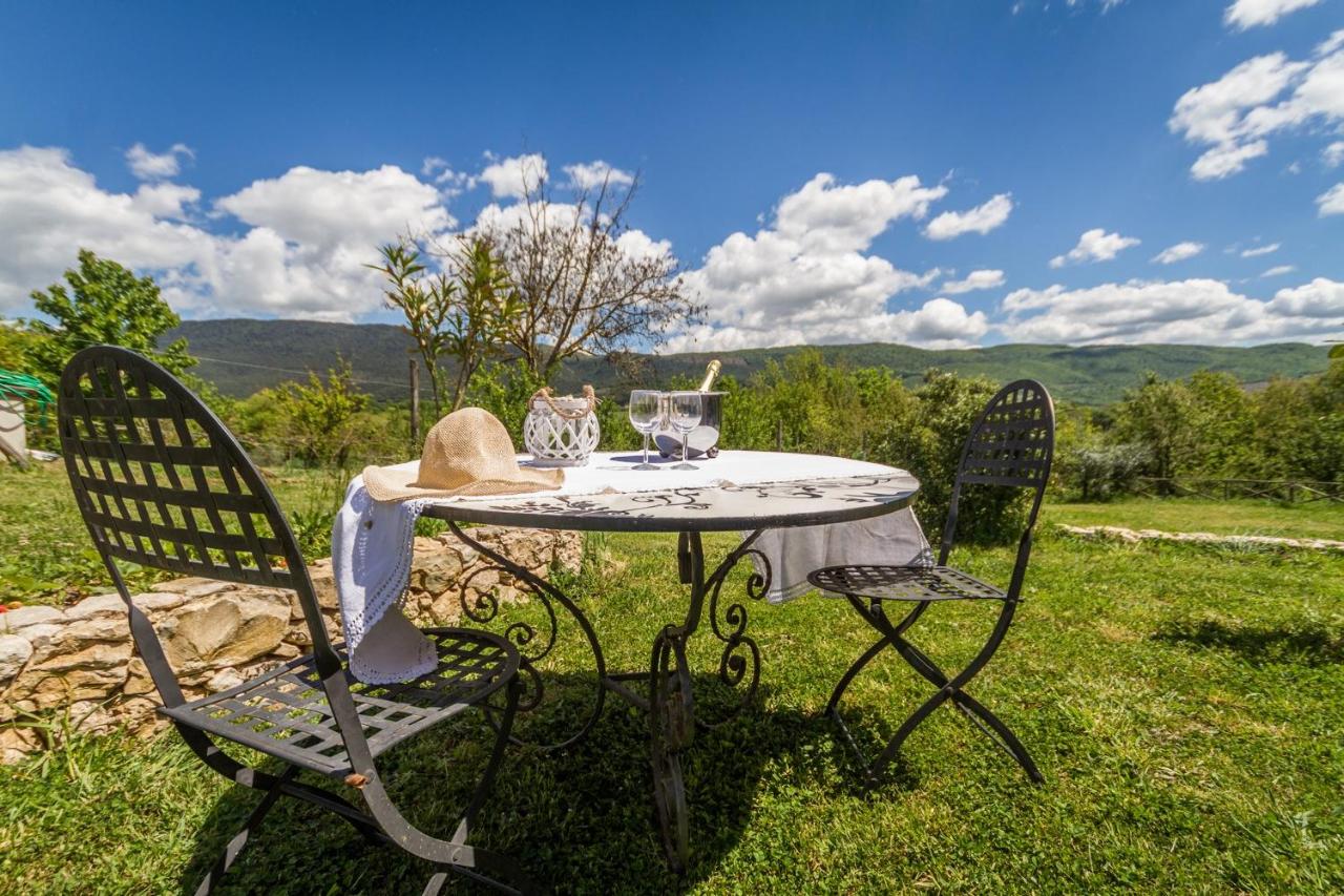 Il Colle sulla Flaminia - B&B