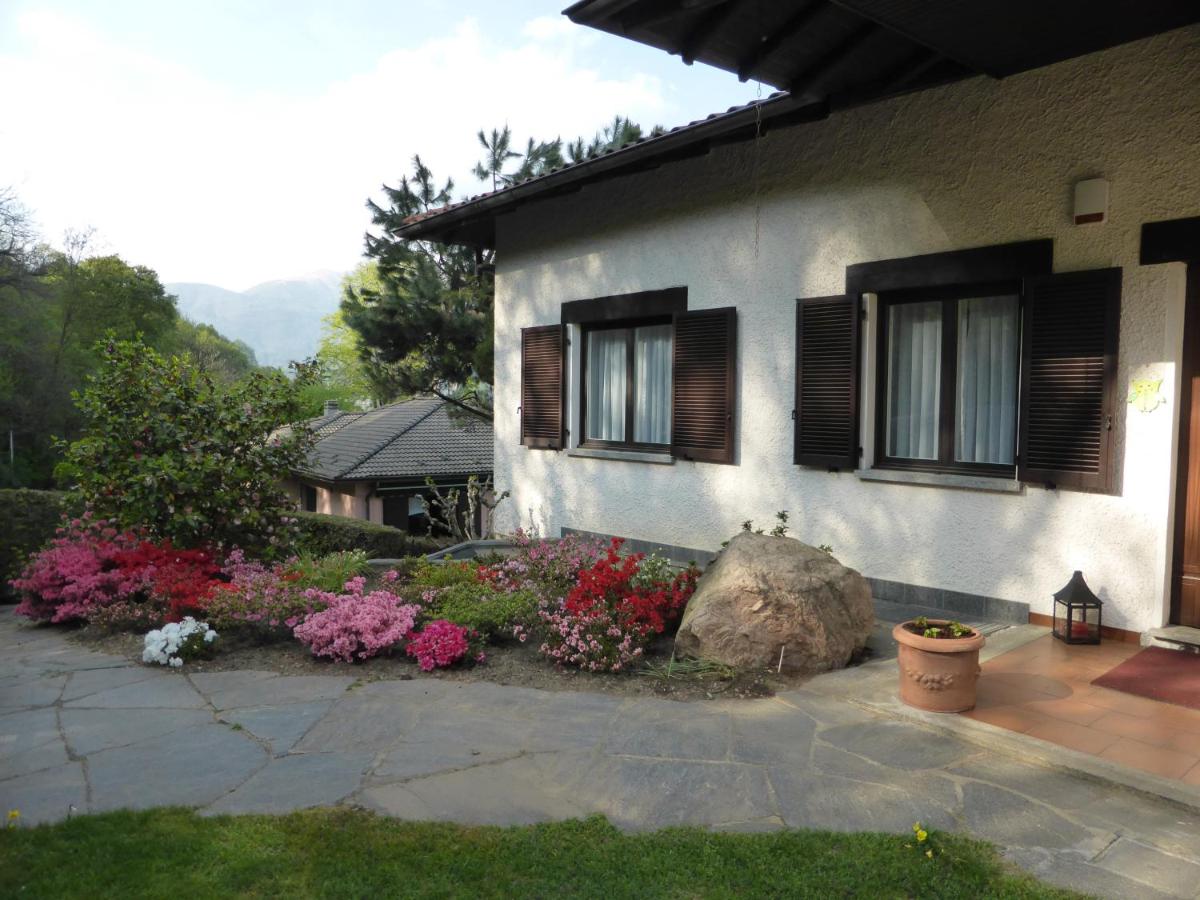 Villa Banfi - Ferienwohnung