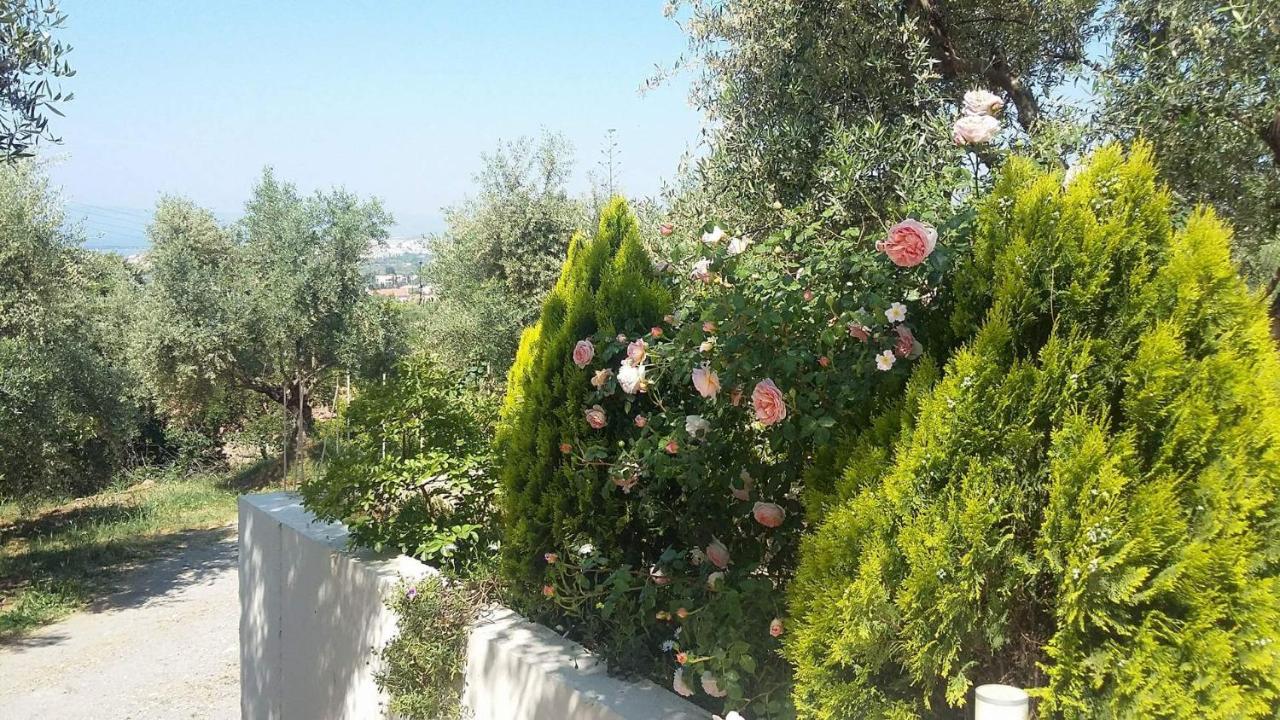 Agriomata Vergas Apartments - B&B Kalamata