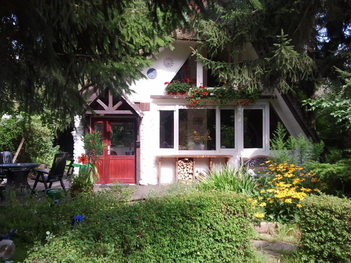 Finnhütte Canow - Ferienwohnung