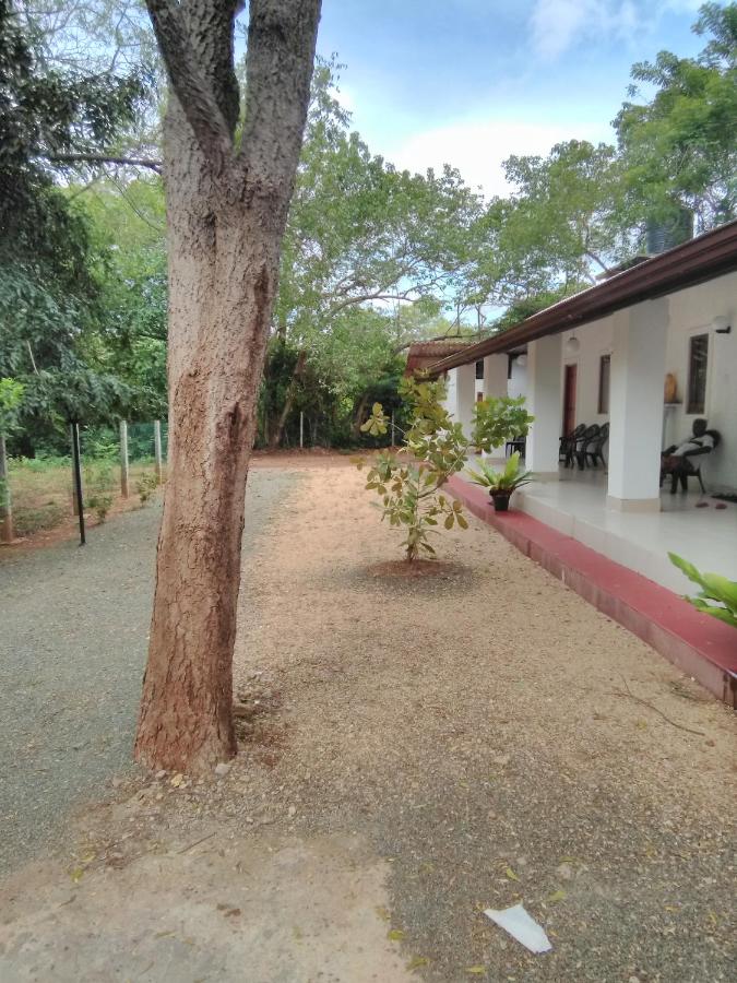 Amadi Rest - B&B