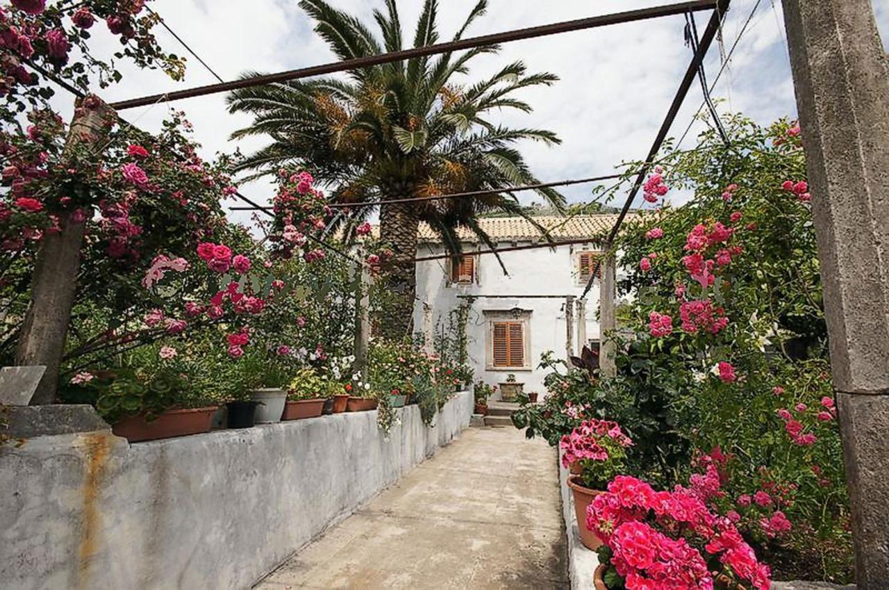 Apartments Imperial - Bed and Breakfast Dubrovnik