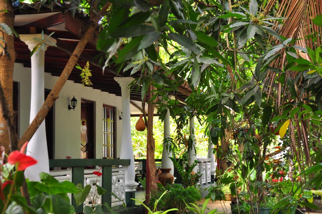 Sigiri Rock Side Home Stay - B&B Sigiriya