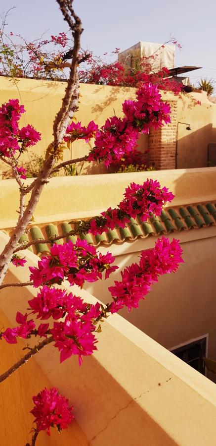Riad Bamileke - B&B