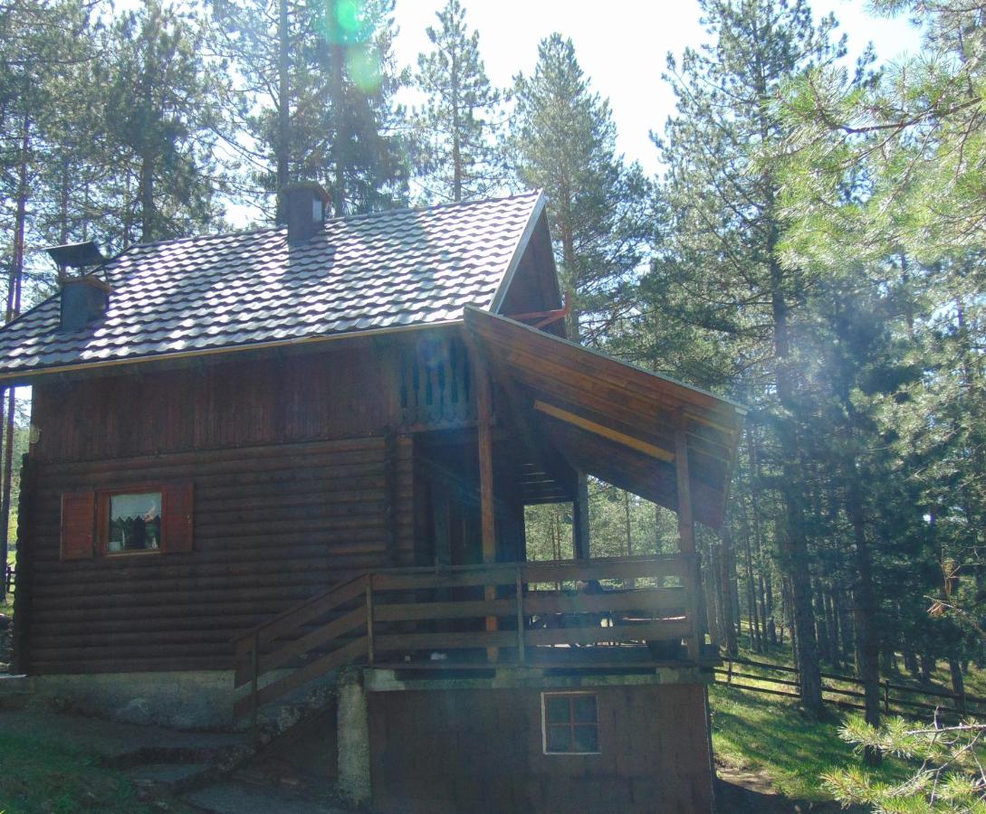 Tarski dom - B&B