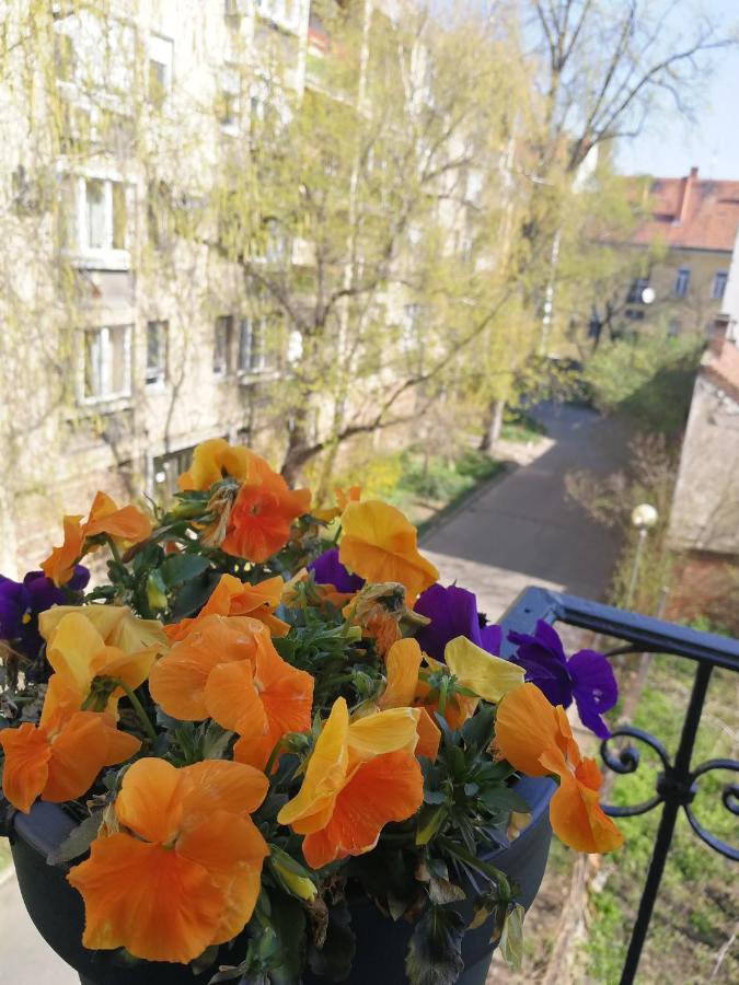Class Apartment - Chambres d’hôtes Szeged