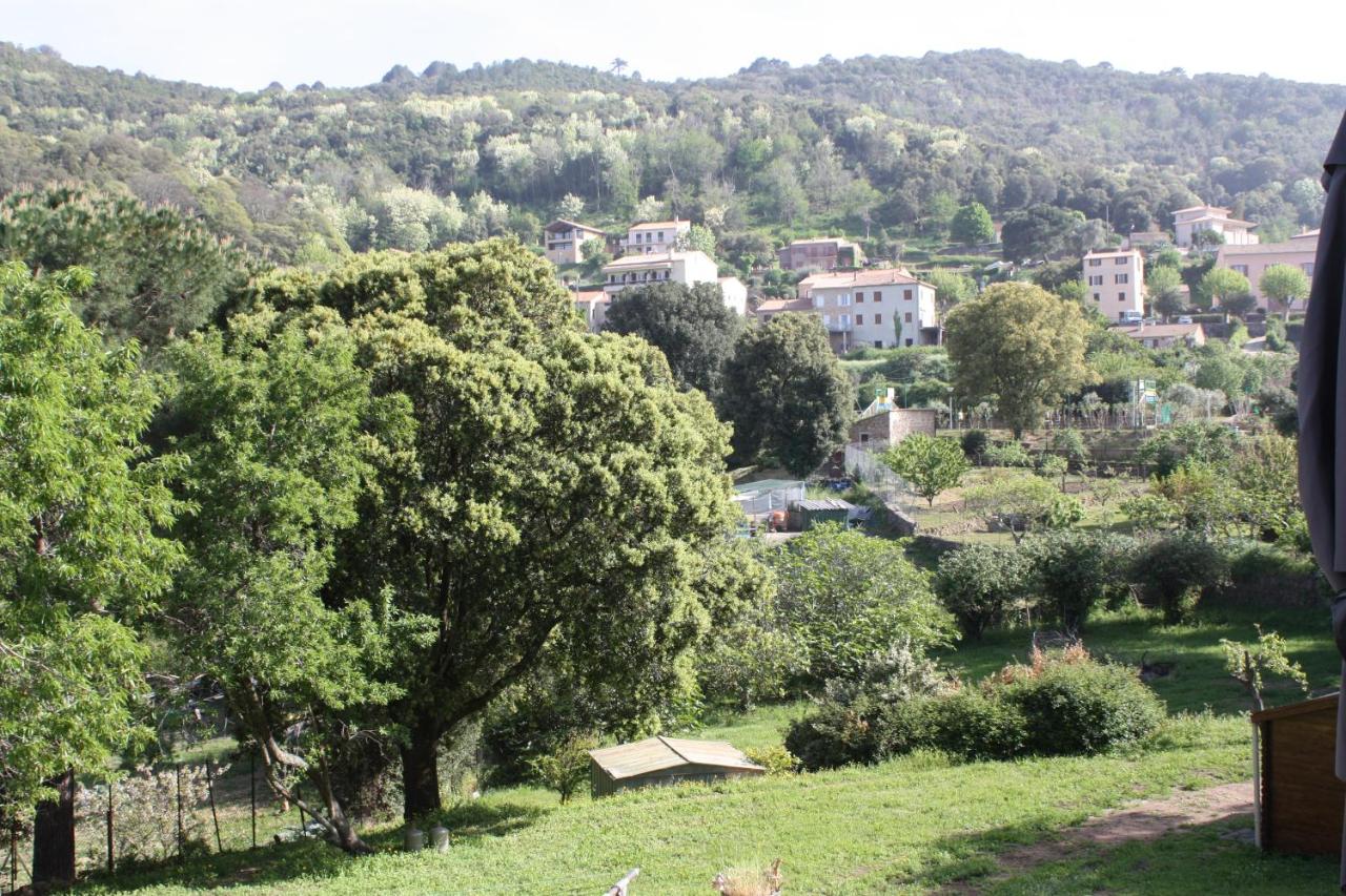 B&B Piana - A CARDICCIA Loc saisonnières PIANA - Bed and Breakfast Piana