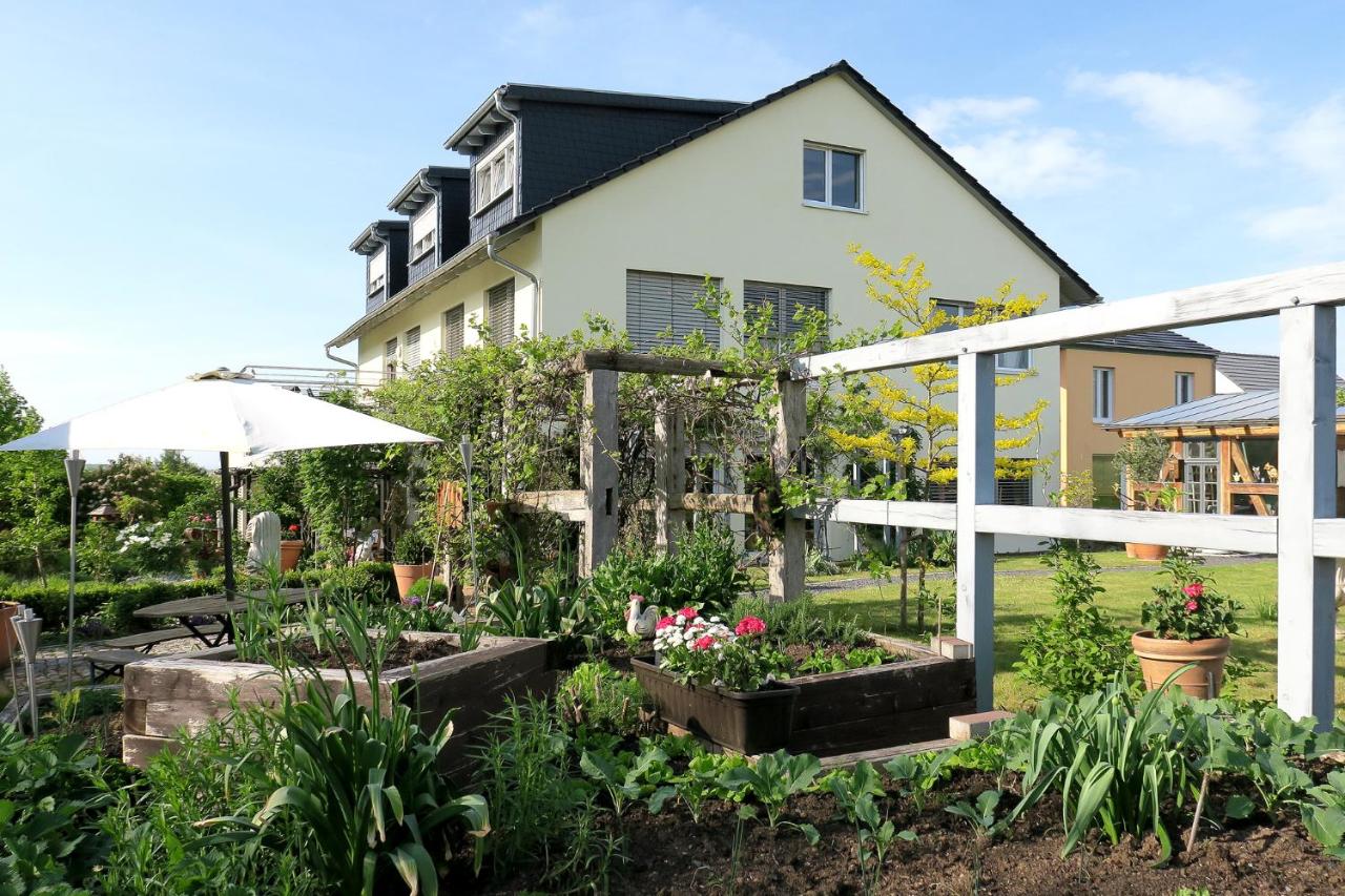 B&B Erfurt - Apartments am Ringelberg - Bed and Breakfast Erfurt