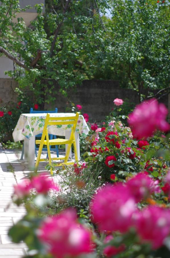 Appartamento con Terrazza