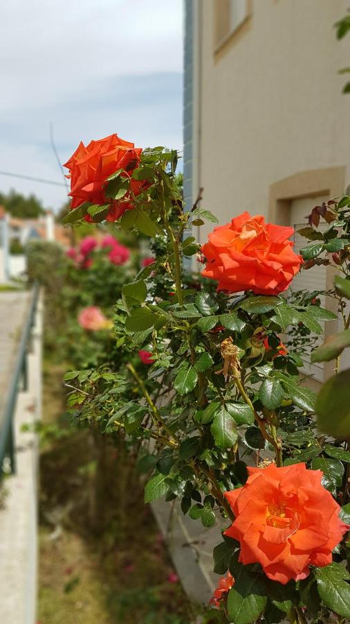 Villa Sugarella - Ferienwohnung Síviri