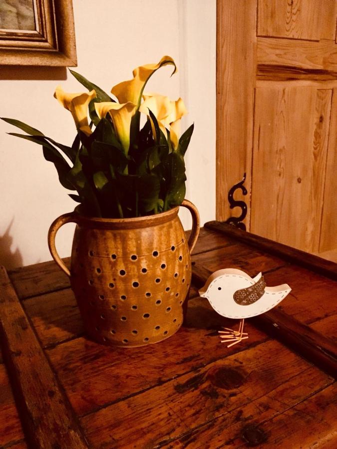 Appartement (4 Volwassenen)