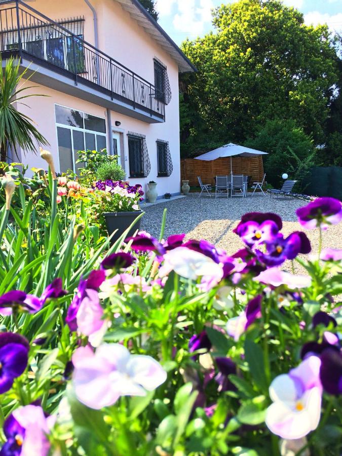 IL CILIEGIO Affittacamere - B&B