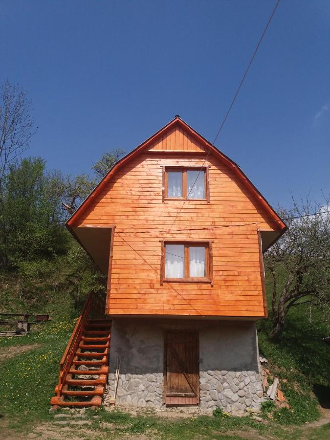 Верховинський котедж - B&B