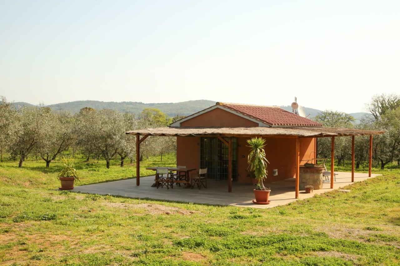 Studio with Garden View
