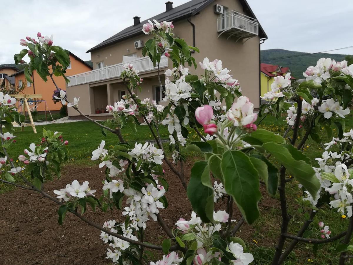 Apartment and Rooms Aračić - B&B
