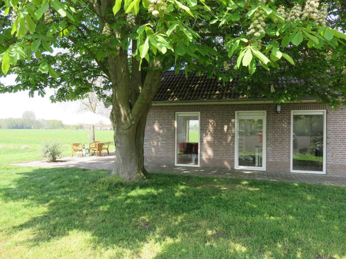 Gastenverblijf WeijdeBlik - Bed and Breakfast