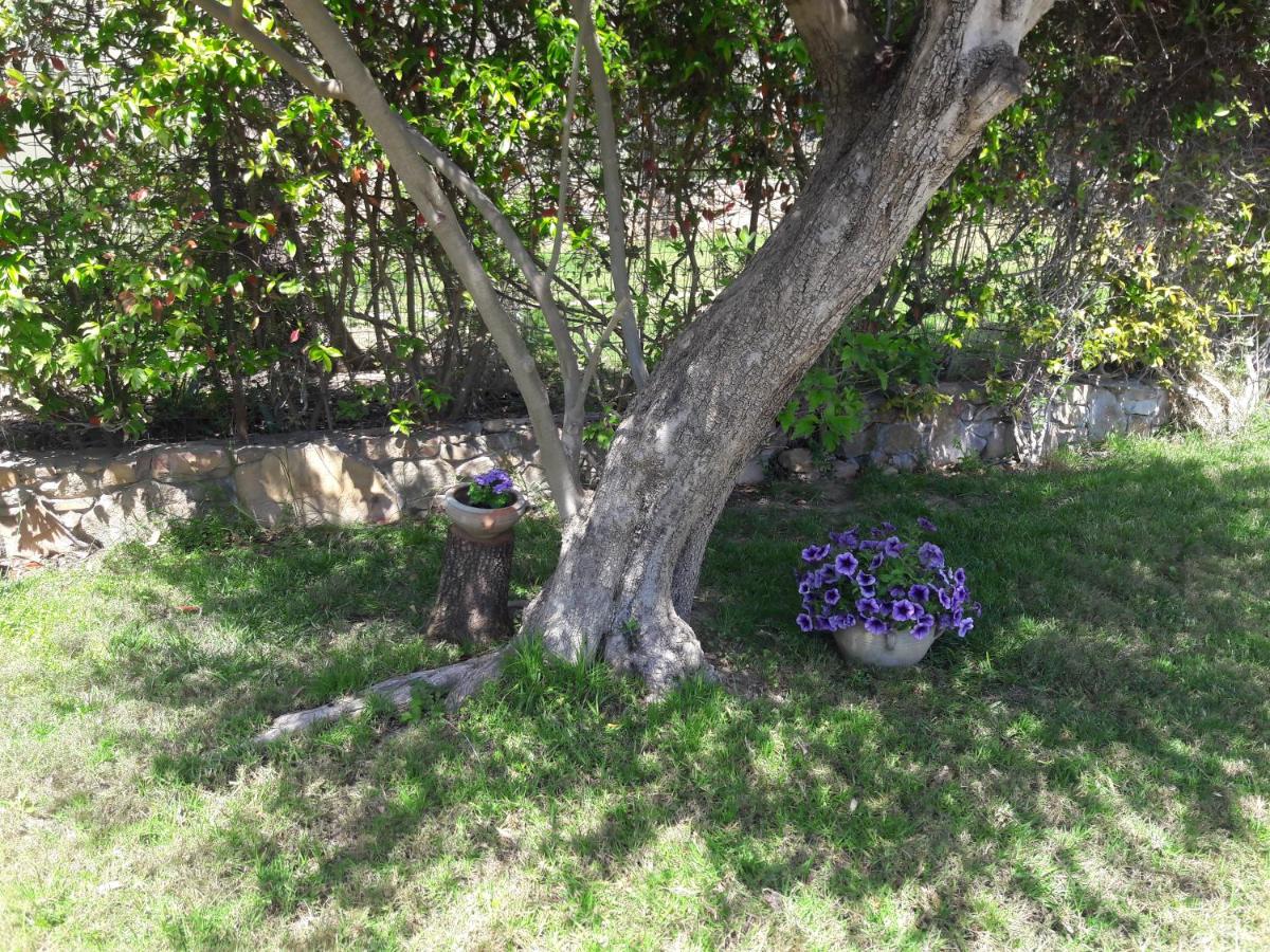 Casa del Riccio - Chambres d’hôtes Villasimius