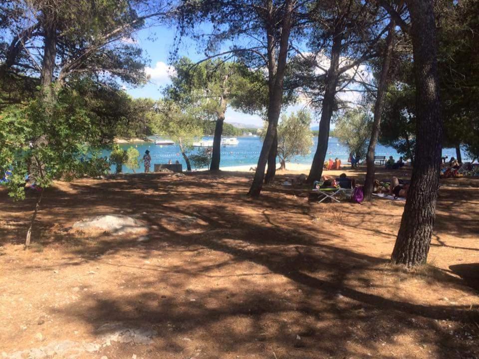 Apartman Šuperba A1 - Chambres d’hôtes Sibenik