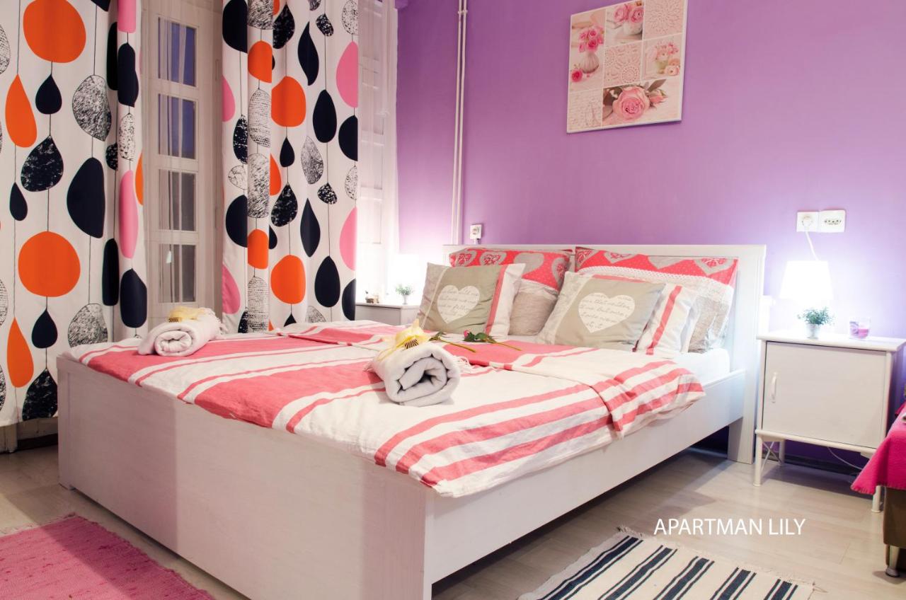 Apartments Kamenecki - B&B Krapina