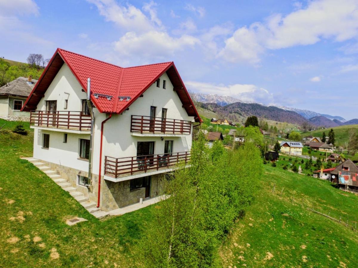 B&B Șirnea - MonteCrai - Bed and Breakfast Șirnea