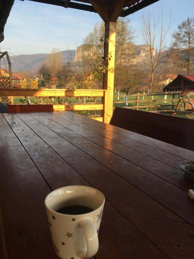 Căsuța de sub pădure - B&B Ampoița