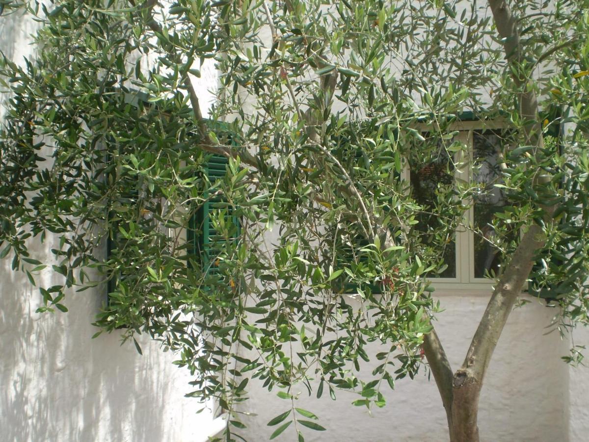 La Marina Bay - B&B
