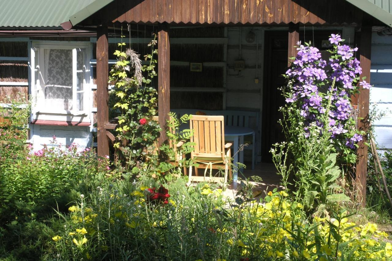 Niebieska Chatka - B&B