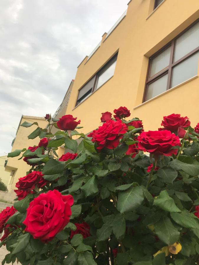 Apartman MIG - Bed and Breakfast