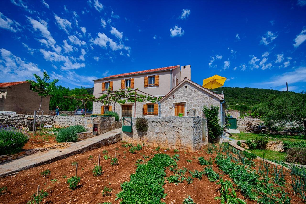 Betini Apartments - Authentic Island Escape - B&B