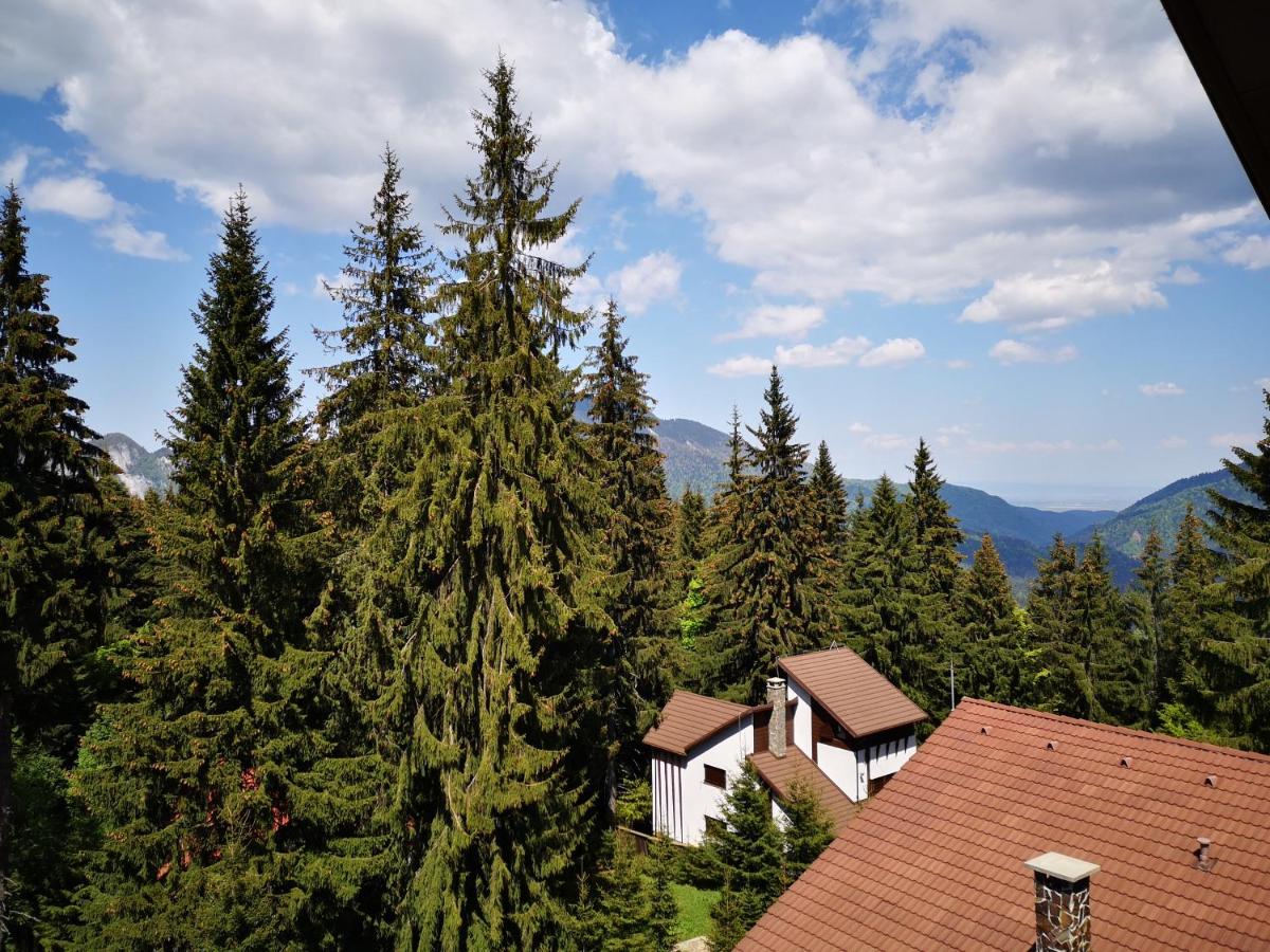 Pensiunea Montien - B&B Predeal