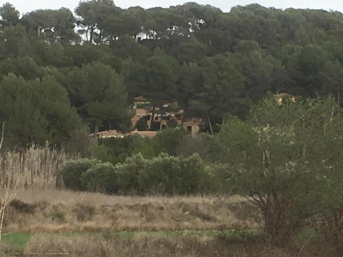 Gites Velaux Ecureuil et Pinède - B&B